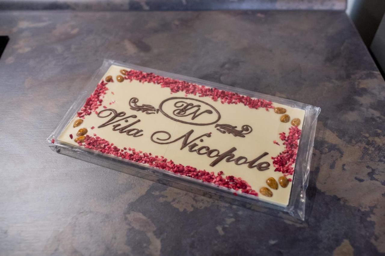 Vila Nicopole Art & Wine Брашов Екстериор снимка